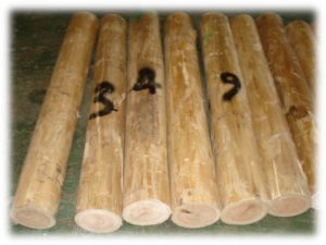 mine-pole-300x225